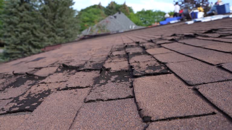 Best Asphalt Shingle Roofing  in Greenville, KY