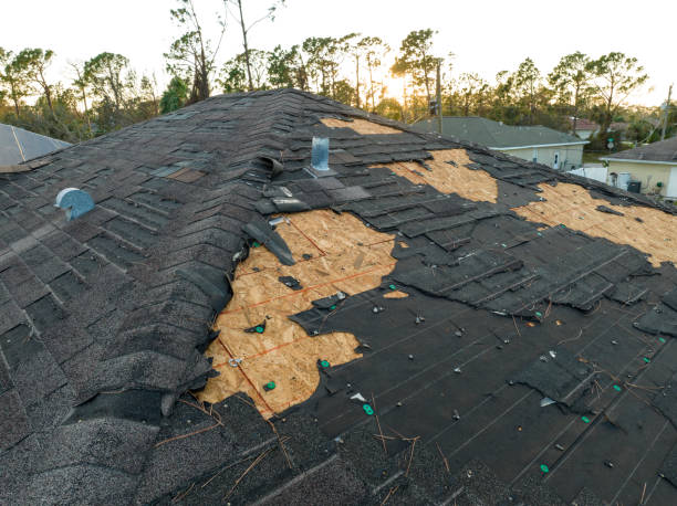 Best Roof Waterproofing  in Greenville, KY