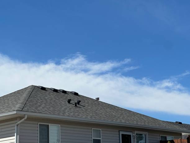 Best Storm Damage Roof Repair  in Greenville, KY